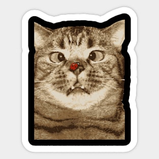 Confused Cat Edition Sticker